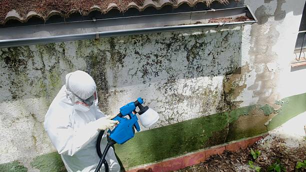 Top rated local Attic Mold Remediation specialists in Hopewell, TN